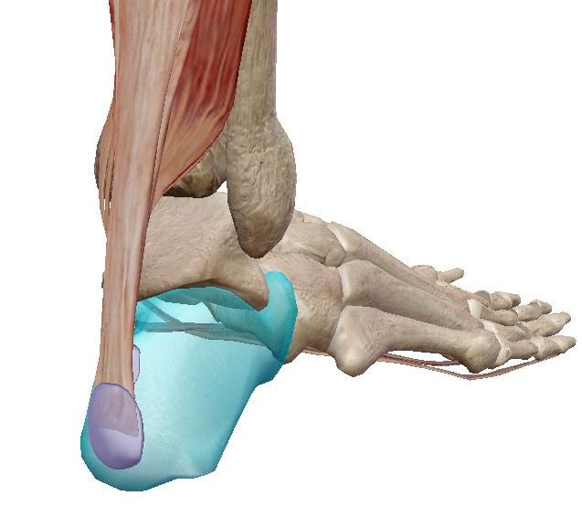 A mi hijo le duelen los talones¿ es normal?