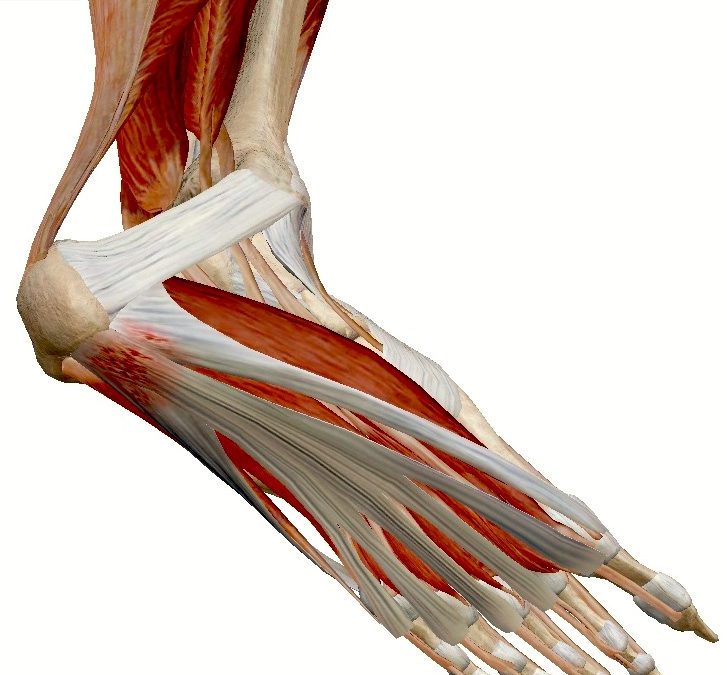 ¡No soporto esta fascitis plantar!